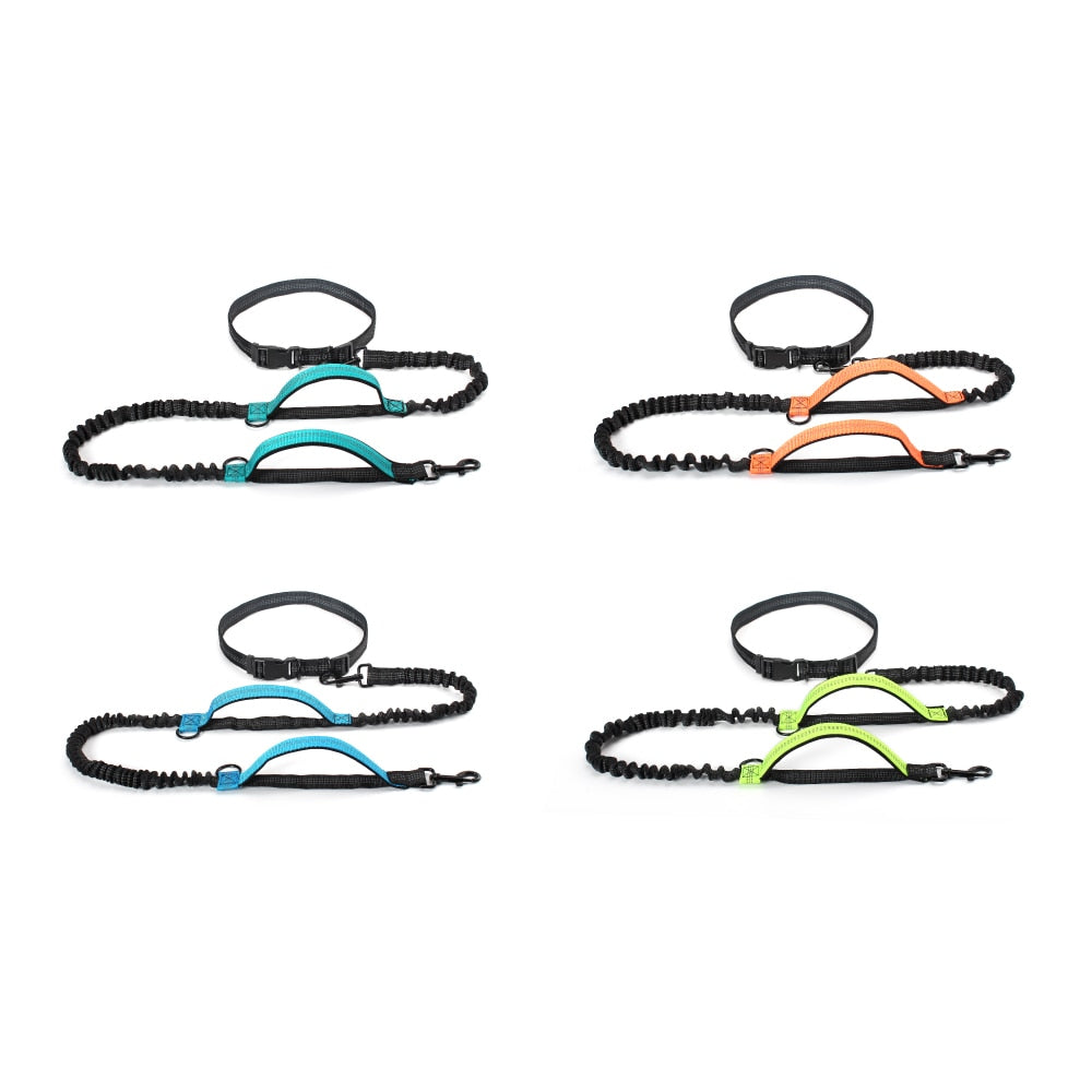 Dual Handle Bungee Leash