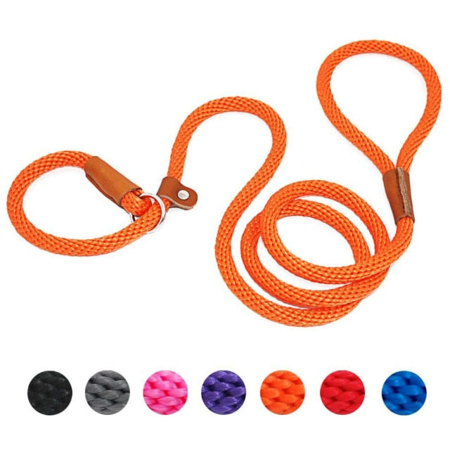 Slip Rope Lead Leash
