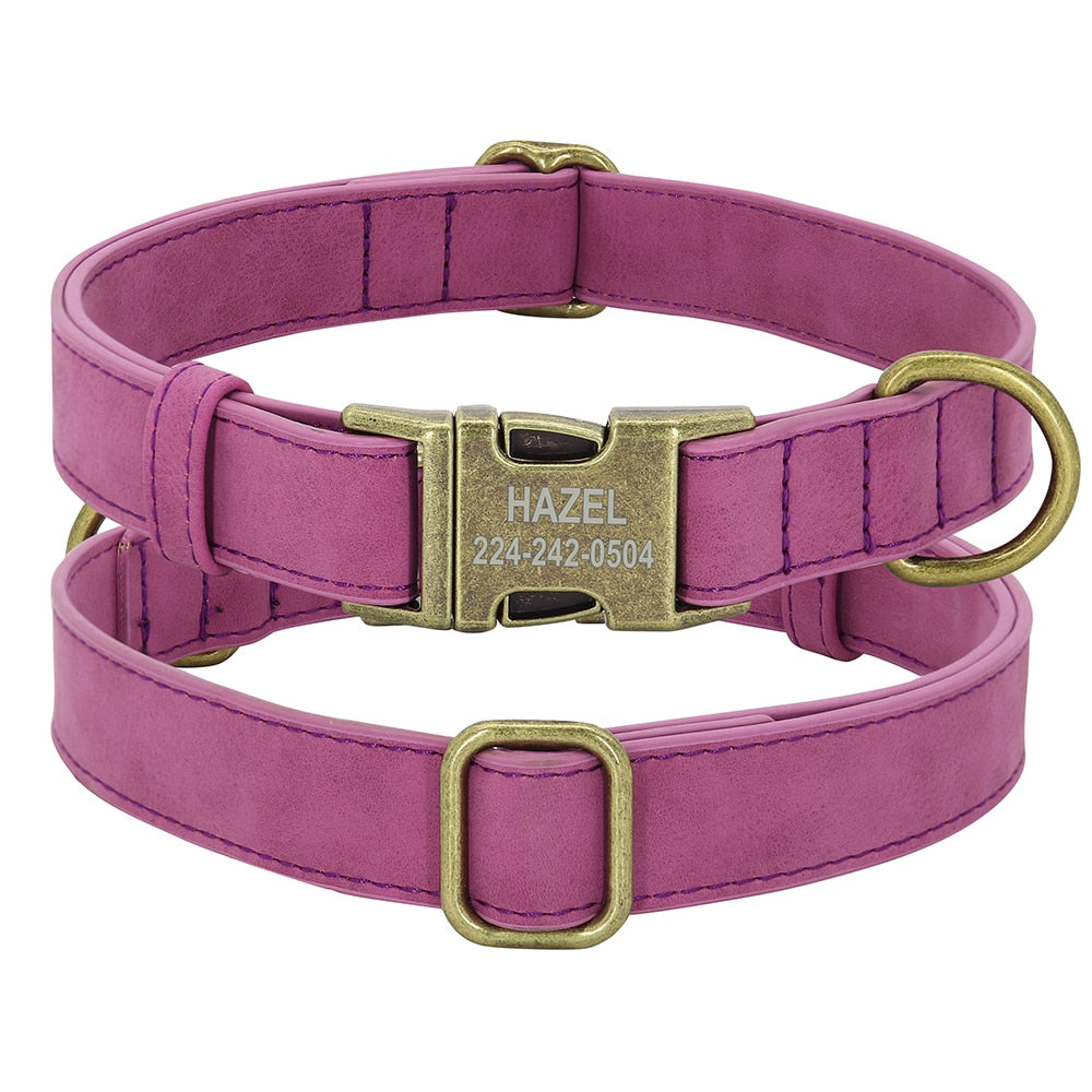 Personalized Dog ID Collar