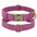 Personalized Dog ID Collar