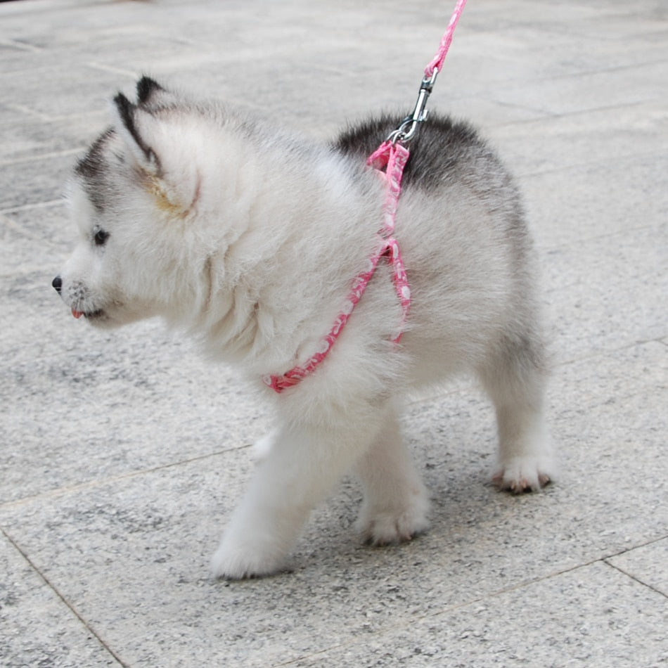 Cat Harness Leash
