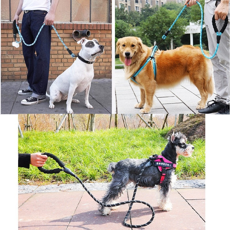 Pet Leashes Reflective Leash