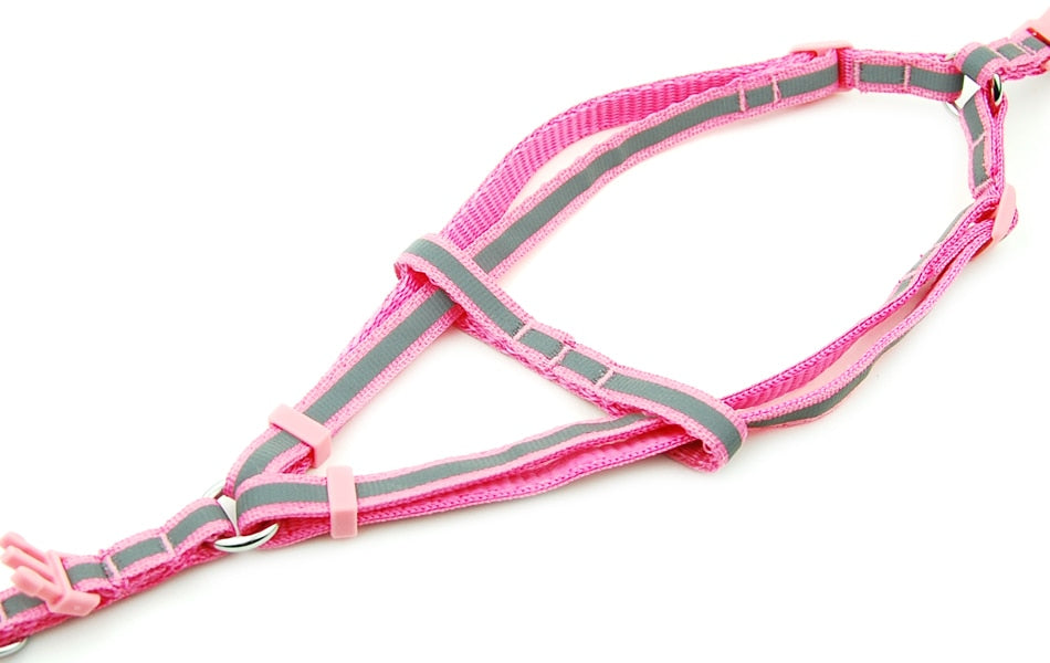 Cat Harness Leash