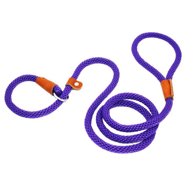 Slip Rope Lead Leash