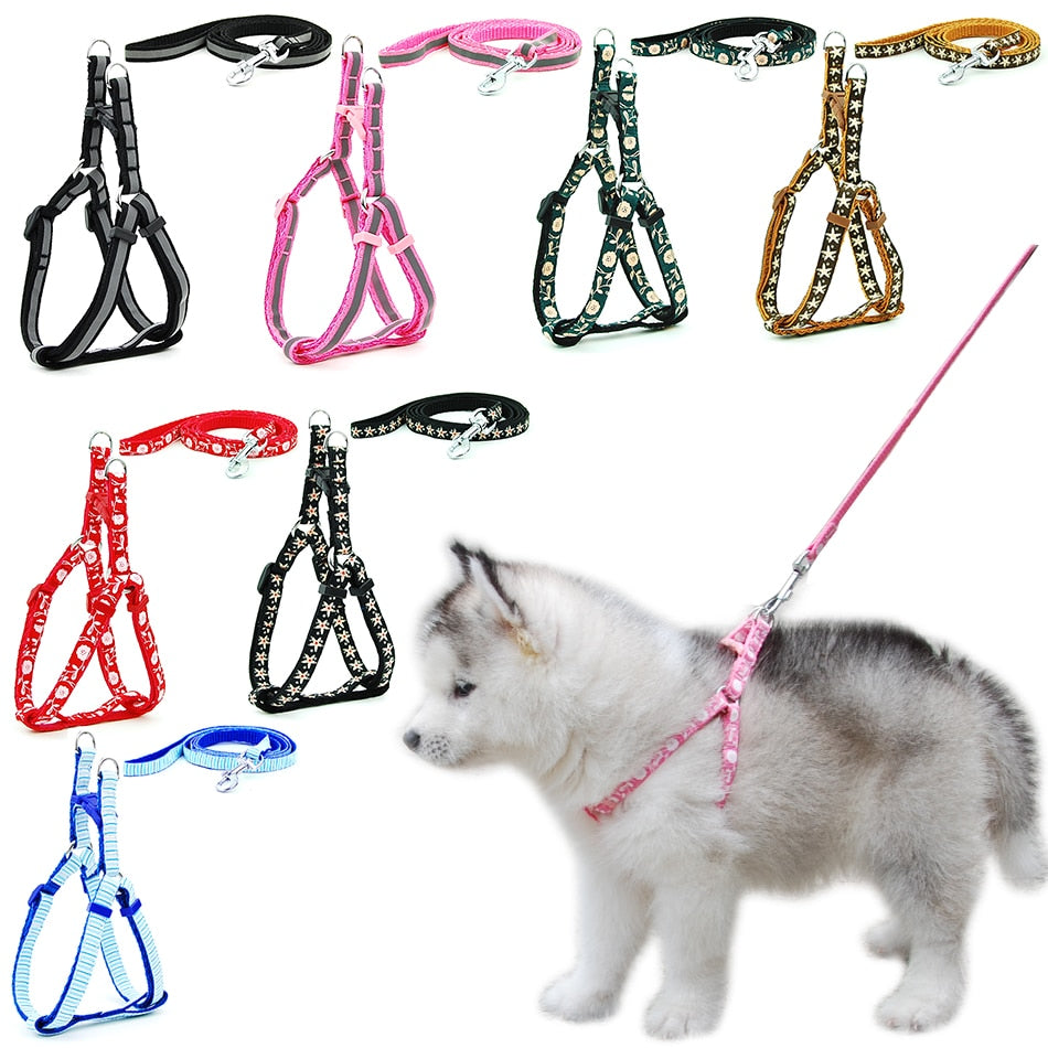 Cat Harness Leash