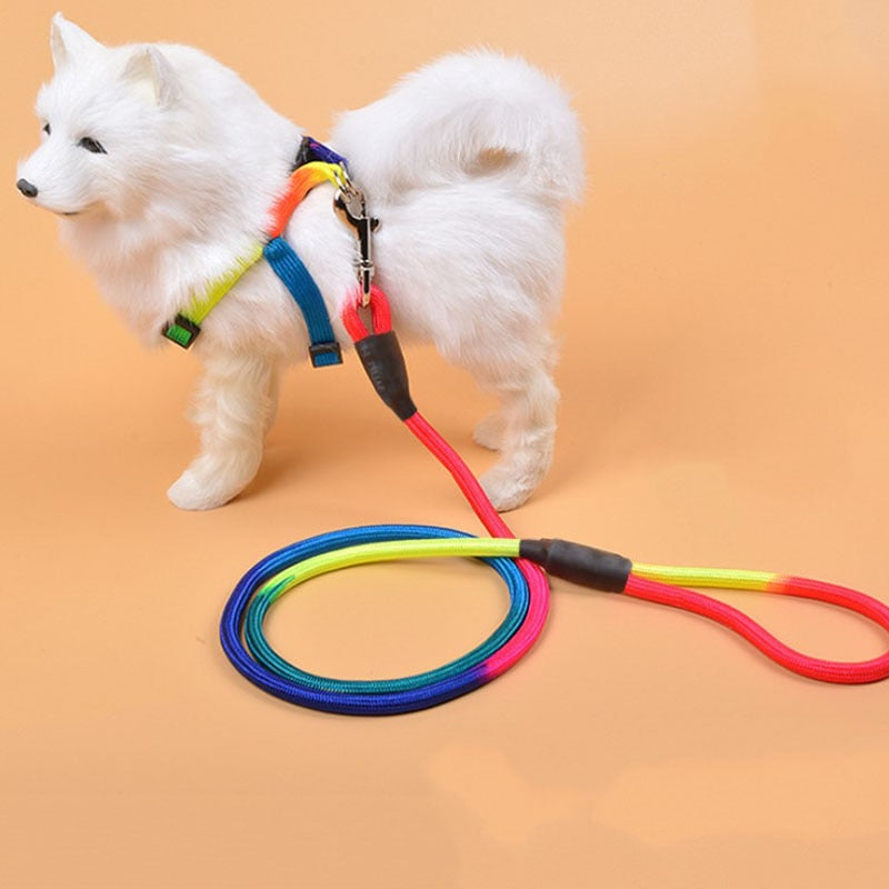 Nylon Rainbow Pet Leash