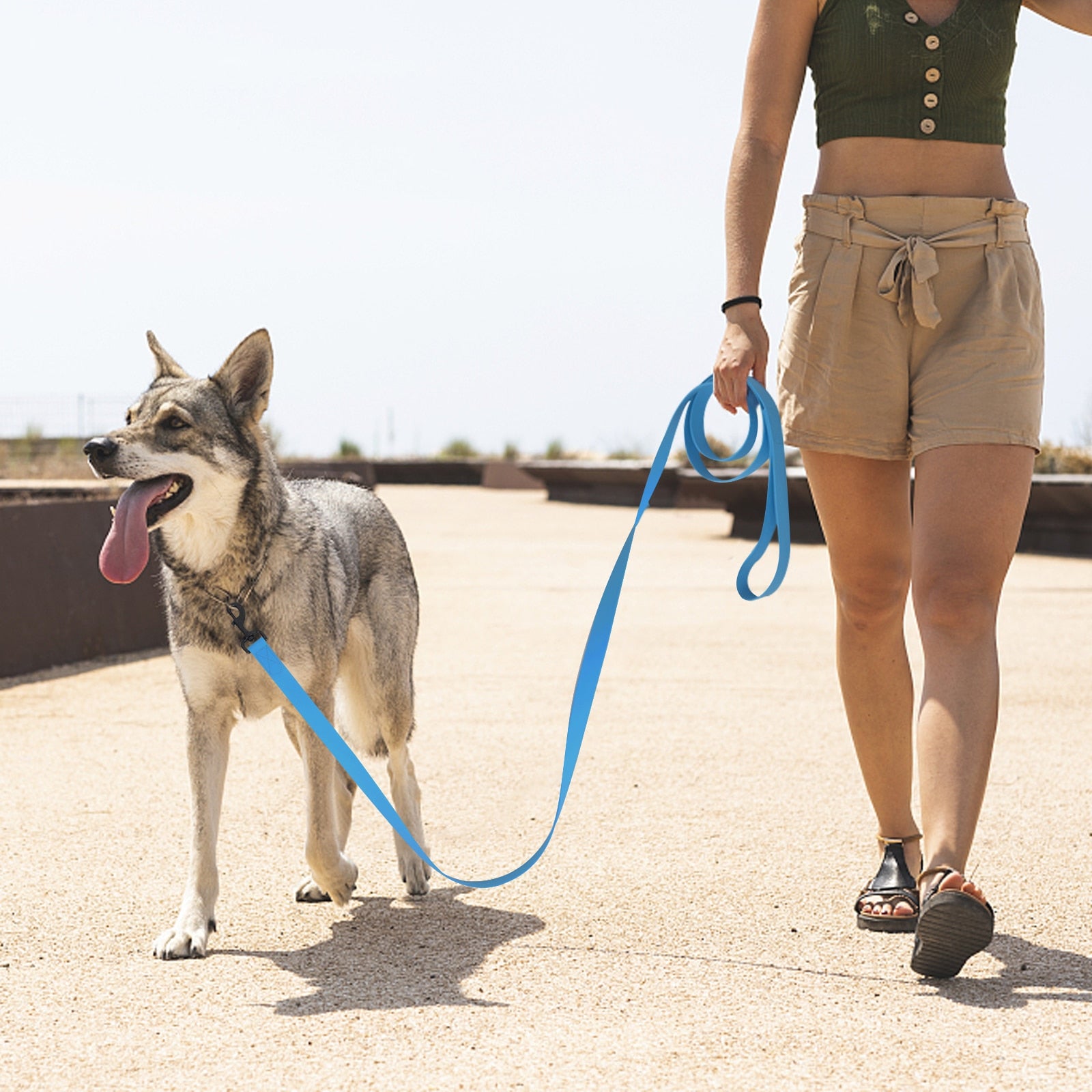 Waterproof Dog Training Leash