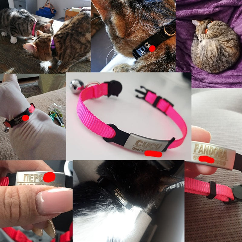 ID Tag Cat Collar Bell