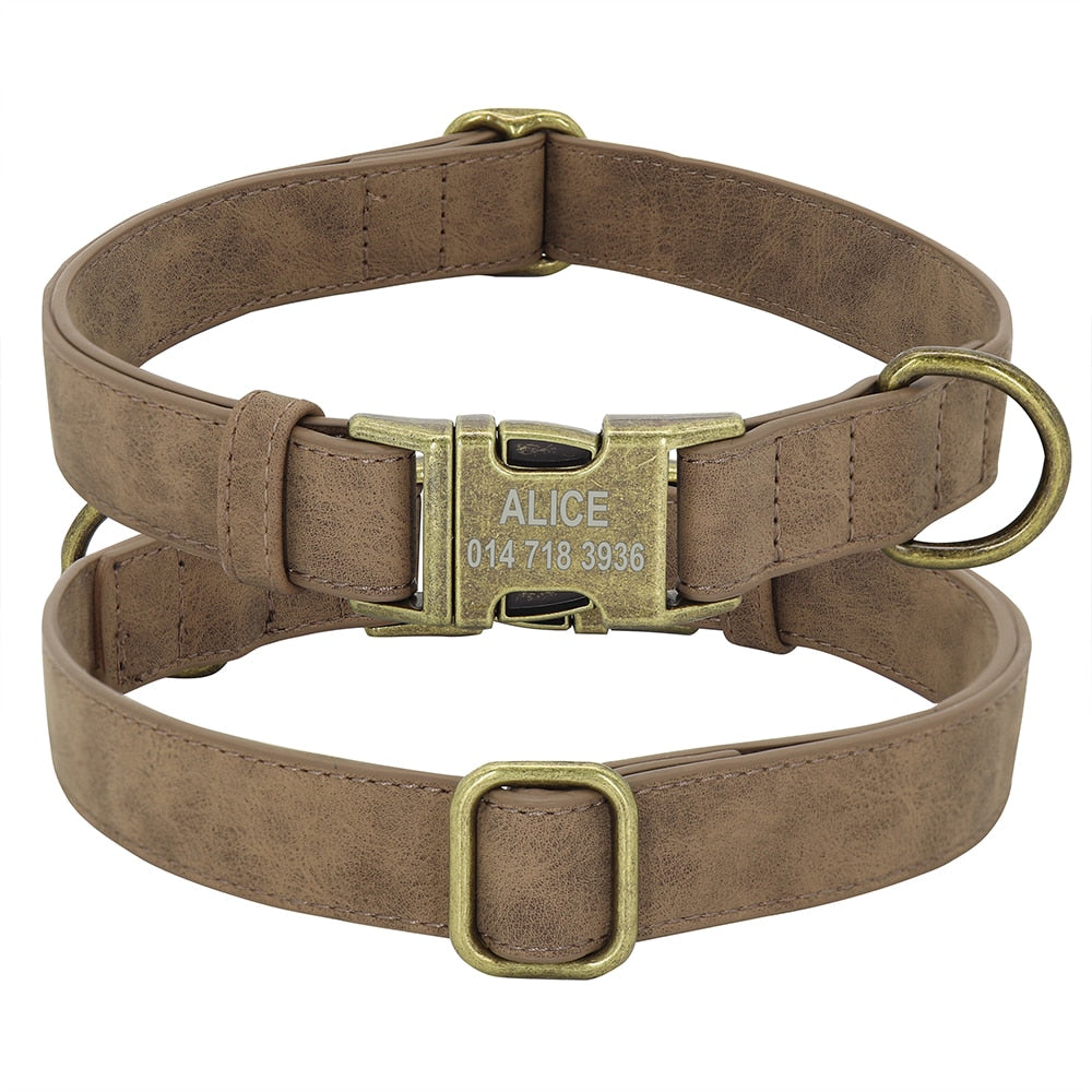 Personalized Dog ID Collar