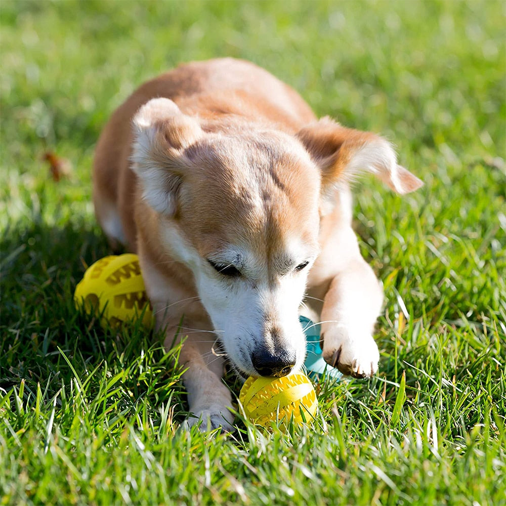 Rubber Toys Ball for Dog