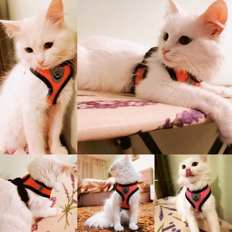Cat Harness Adjustable Vest