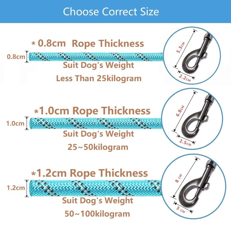 Pet Leashes Reflective Leash