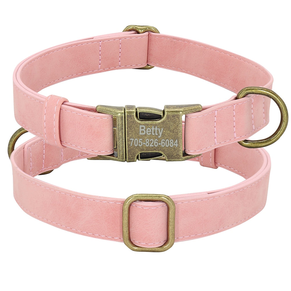 Personalized Dog ID Collar