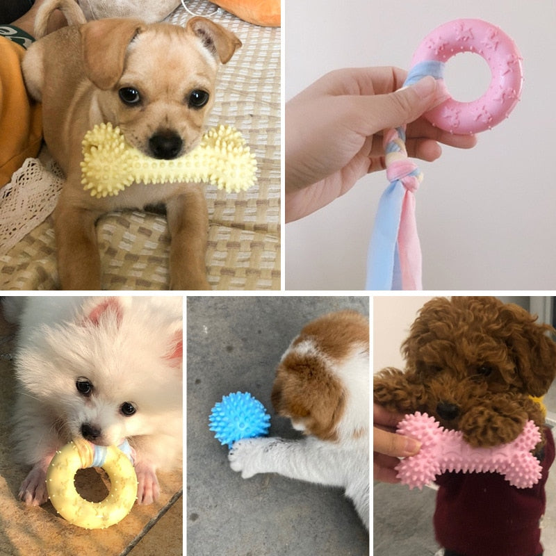 Small Dog Chews Toys