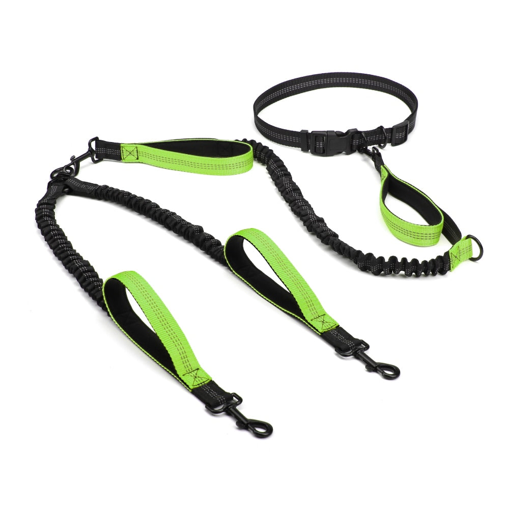 Dual Handle Bungee Leash