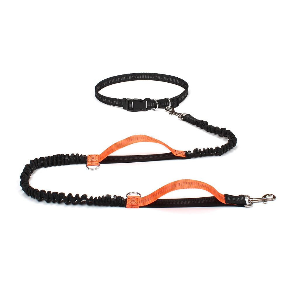 Dual Handle Bungee Leash