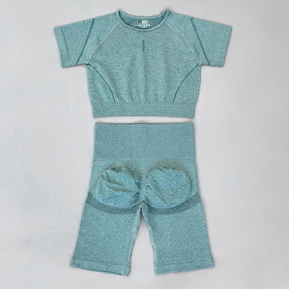 2 Piece Seamless Yoga Sets