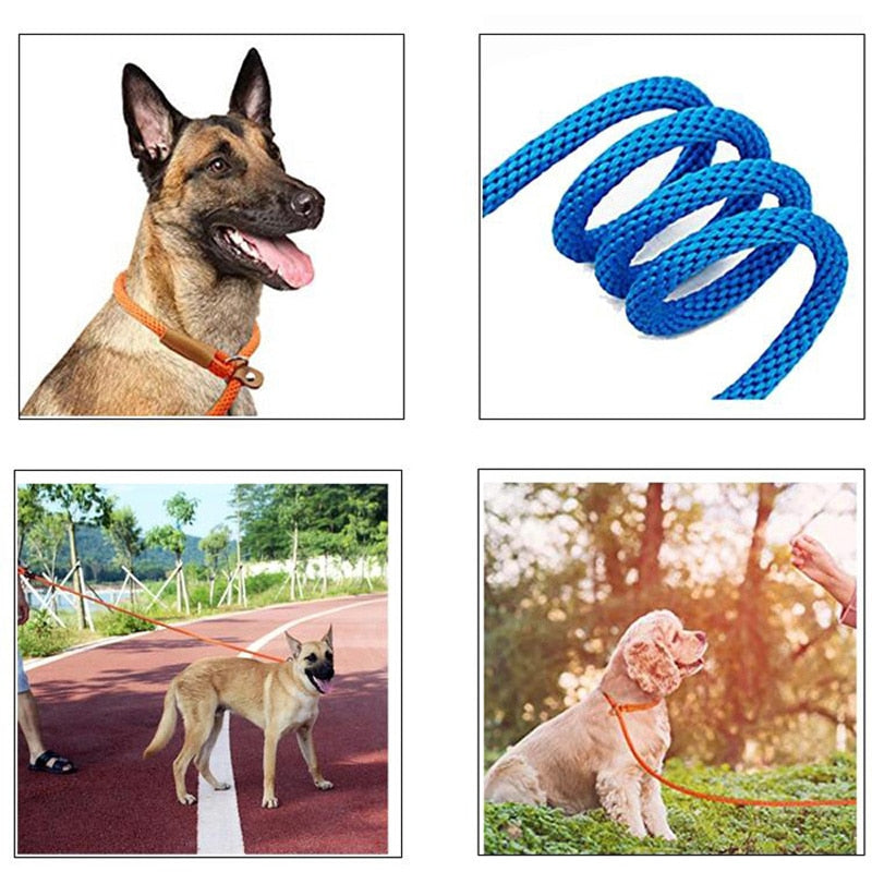 Slip Rope Lead Leash