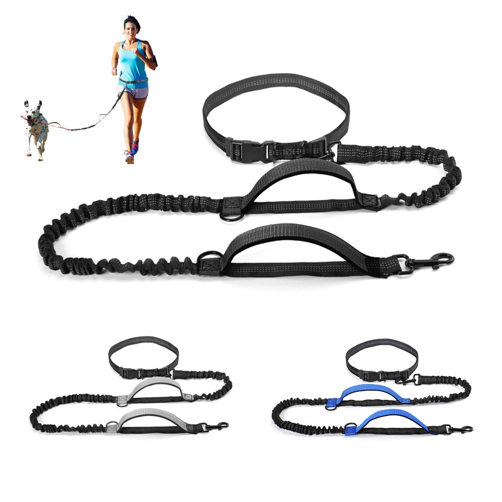 Dual Handle Bungee Leash