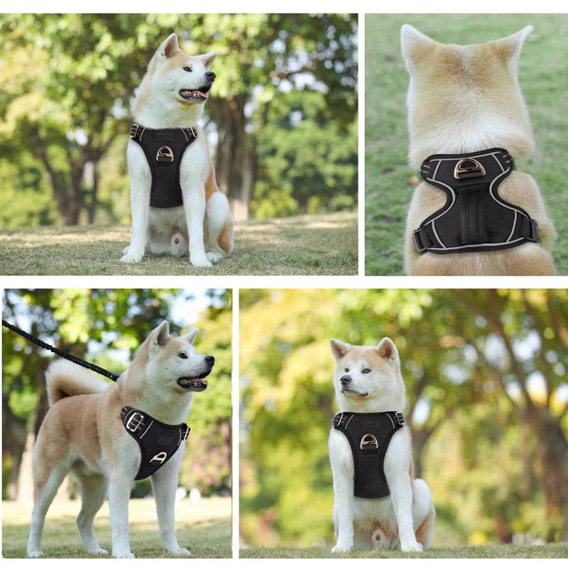 No Pull Dog Harness