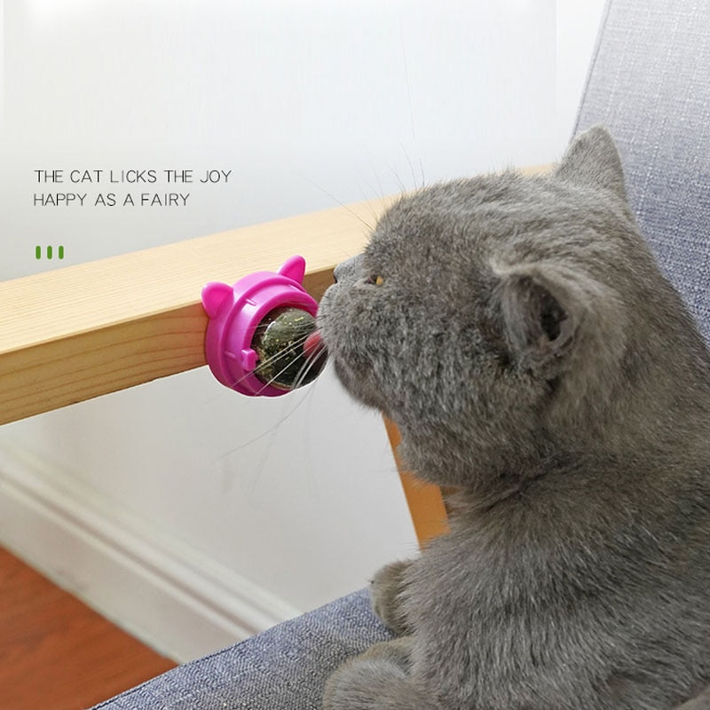 Cat Wall Stick-on Ball Toy