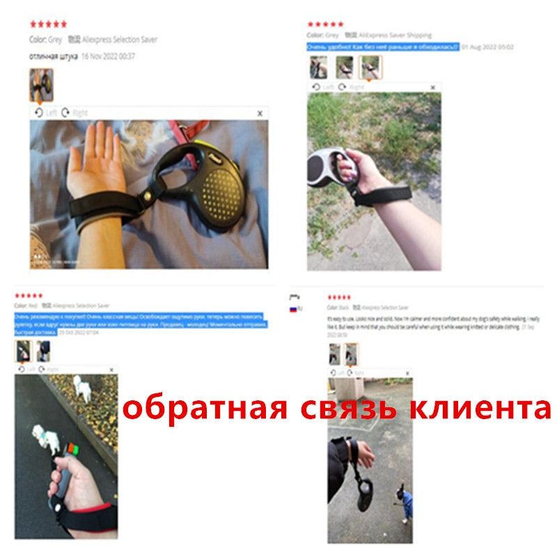 Dog Leash Hands Free