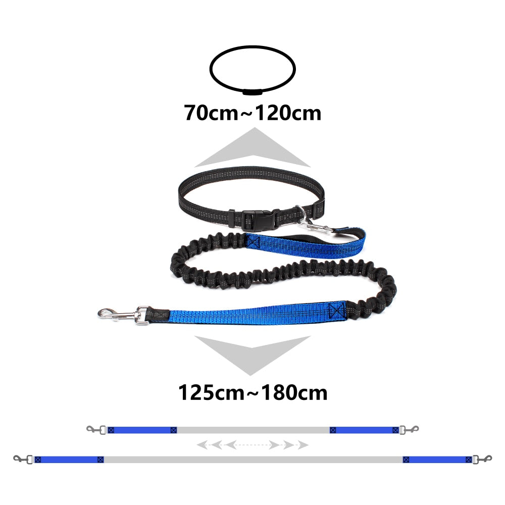 Dual Handle Bungee Leash