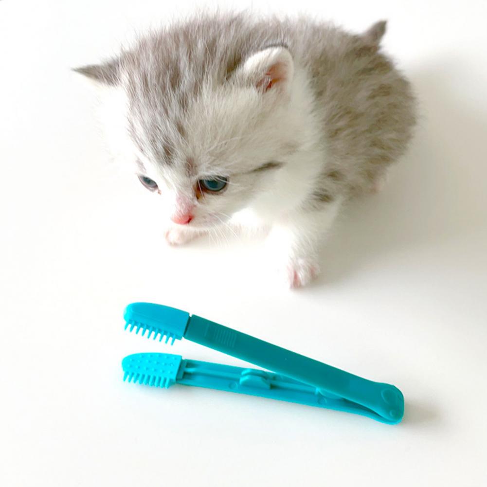 Pet Friendly Kitten Eye Brush