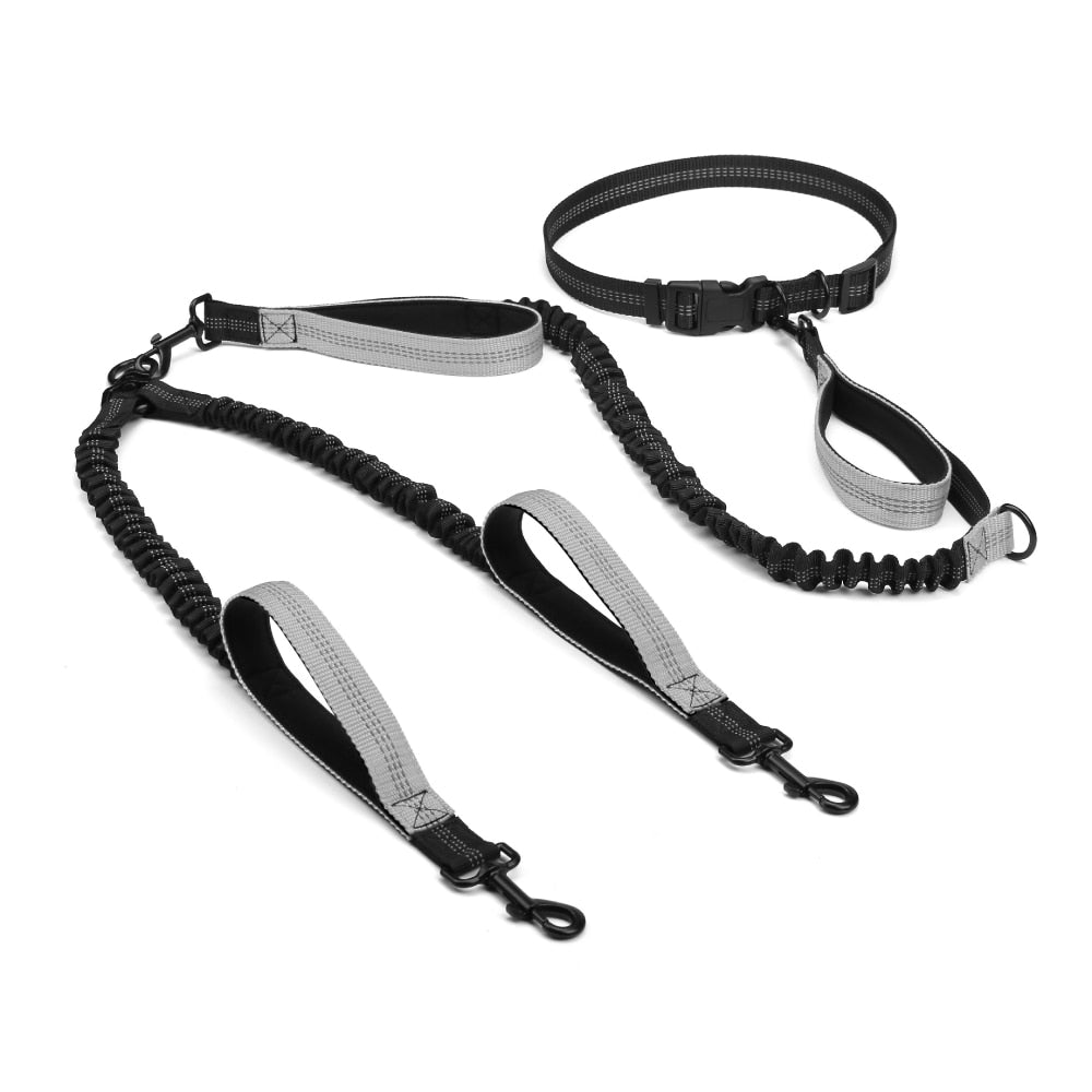 Dual Handle Bungee Leash