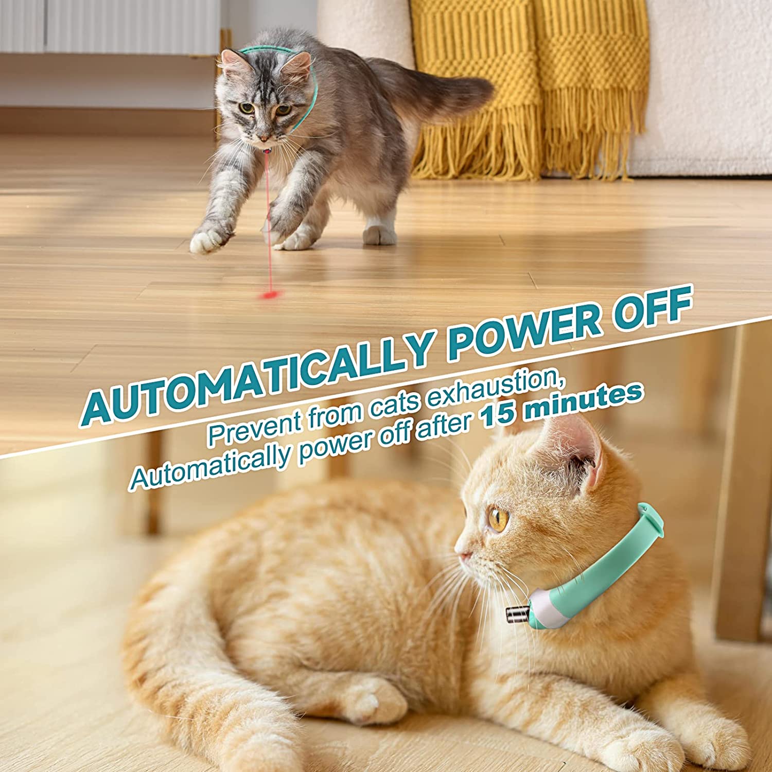 Interactive Cat Toys