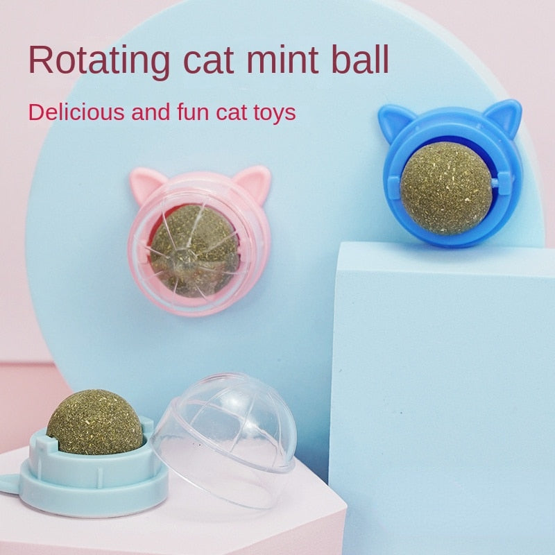 Cat Wall Stick-on Ball Toy