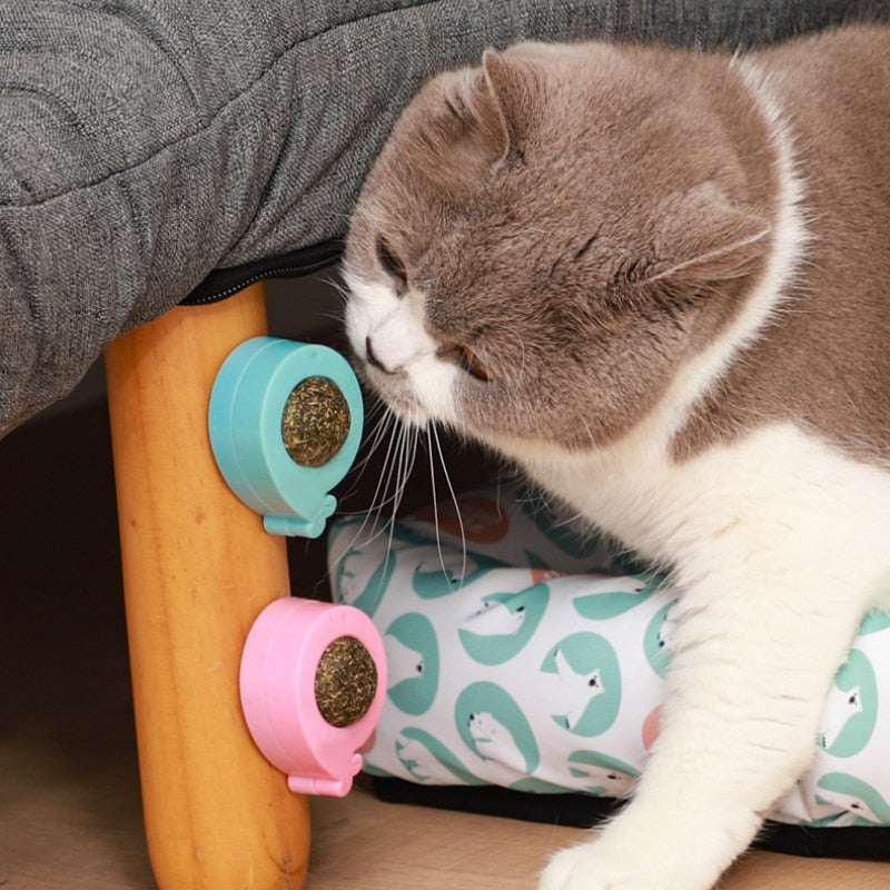 Cat Wall Stick-on Ball Toy