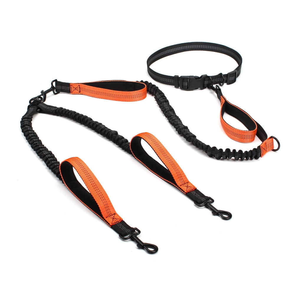Dual Handle Bungee Leash