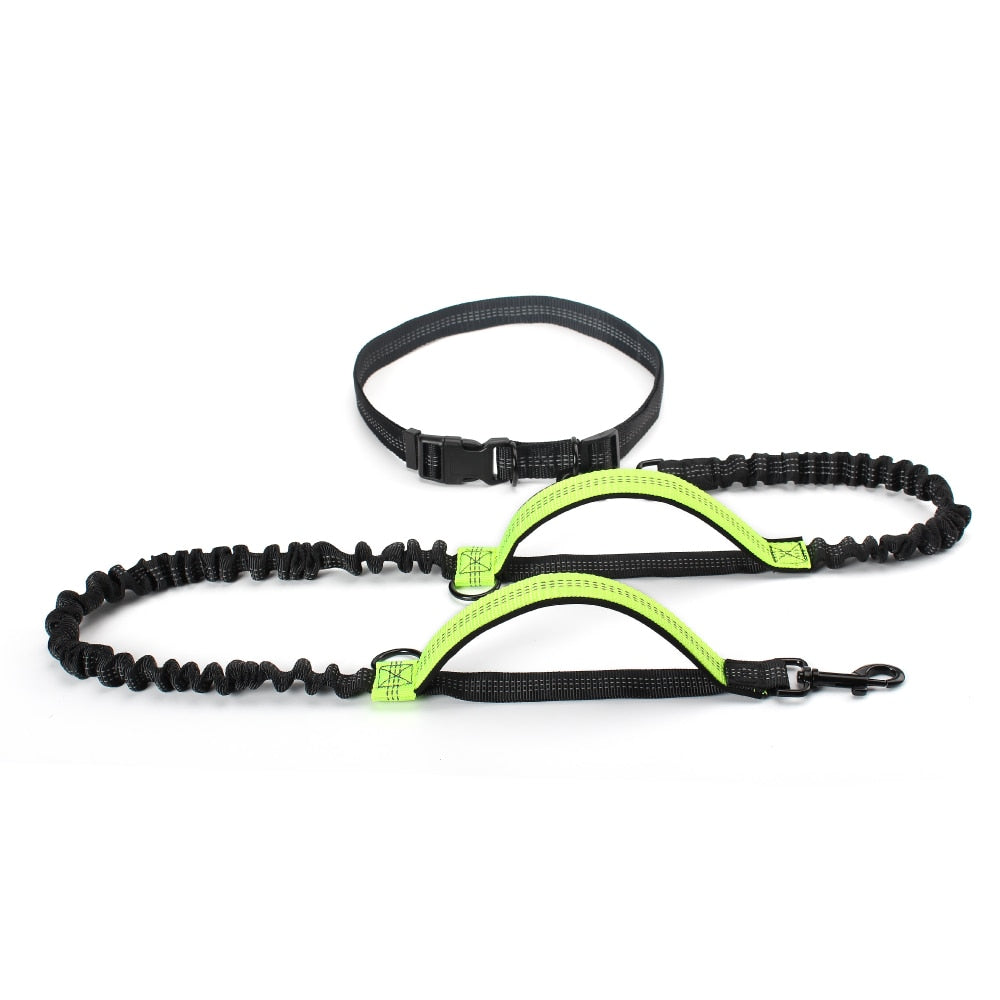 Dual Handle Bungee Leash