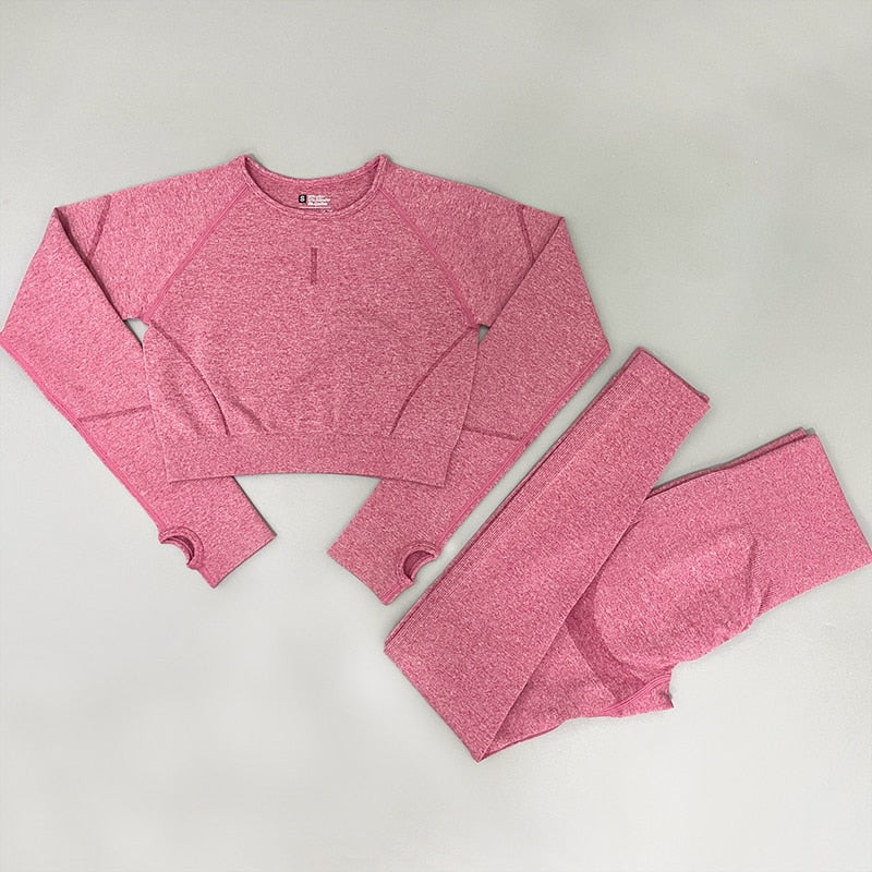 2 Piece Seamless Yoga Sets