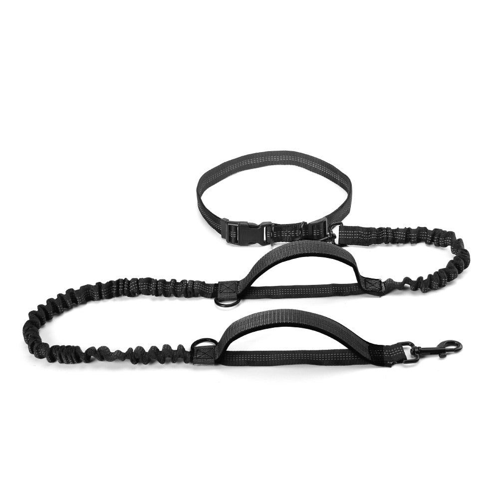 Dual Handle Bungee Leash