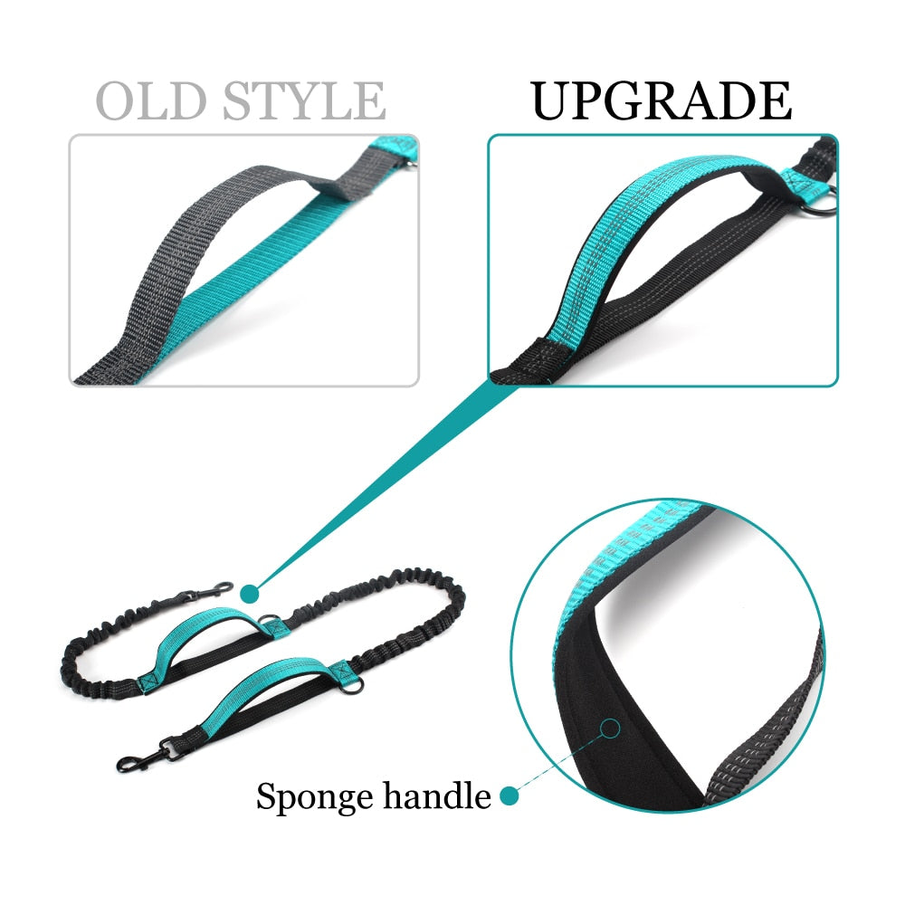 Dual Handle Bungee Leash