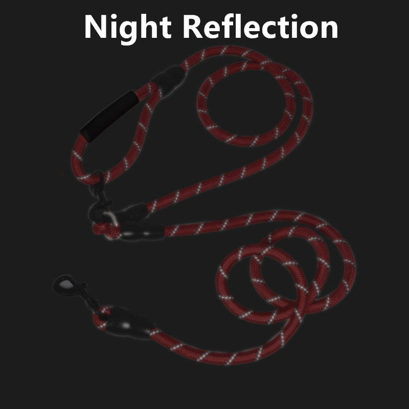 Hands Free Dogs Leash