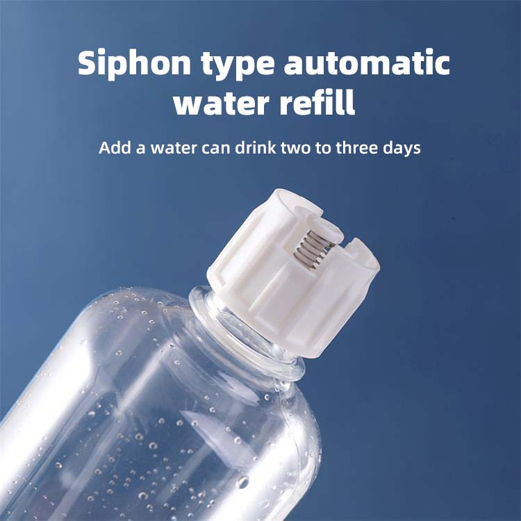 Pet Bowl Automatic Feeder