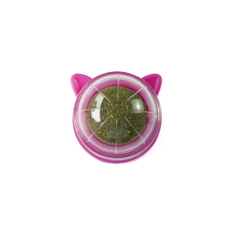 Cat Wall Stick-on Ball Toy