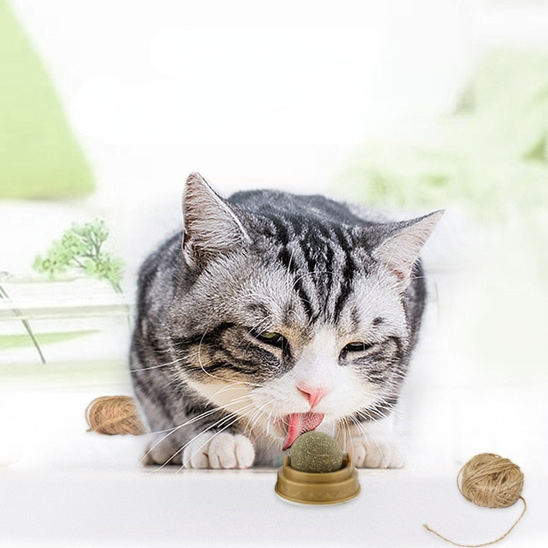 Cat Wall Stick-on Ball Toy