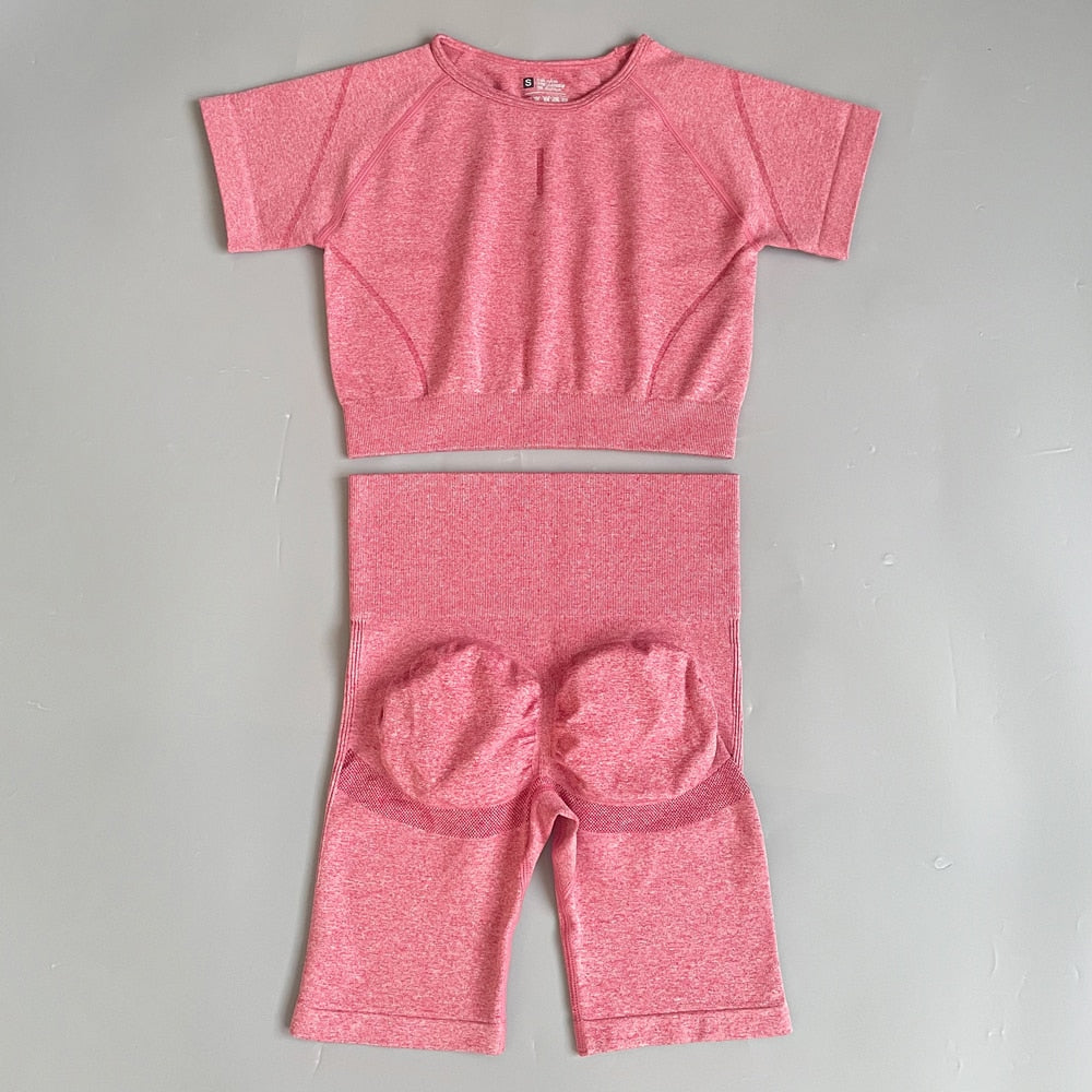 2 Piece Seamless Yoga Sets