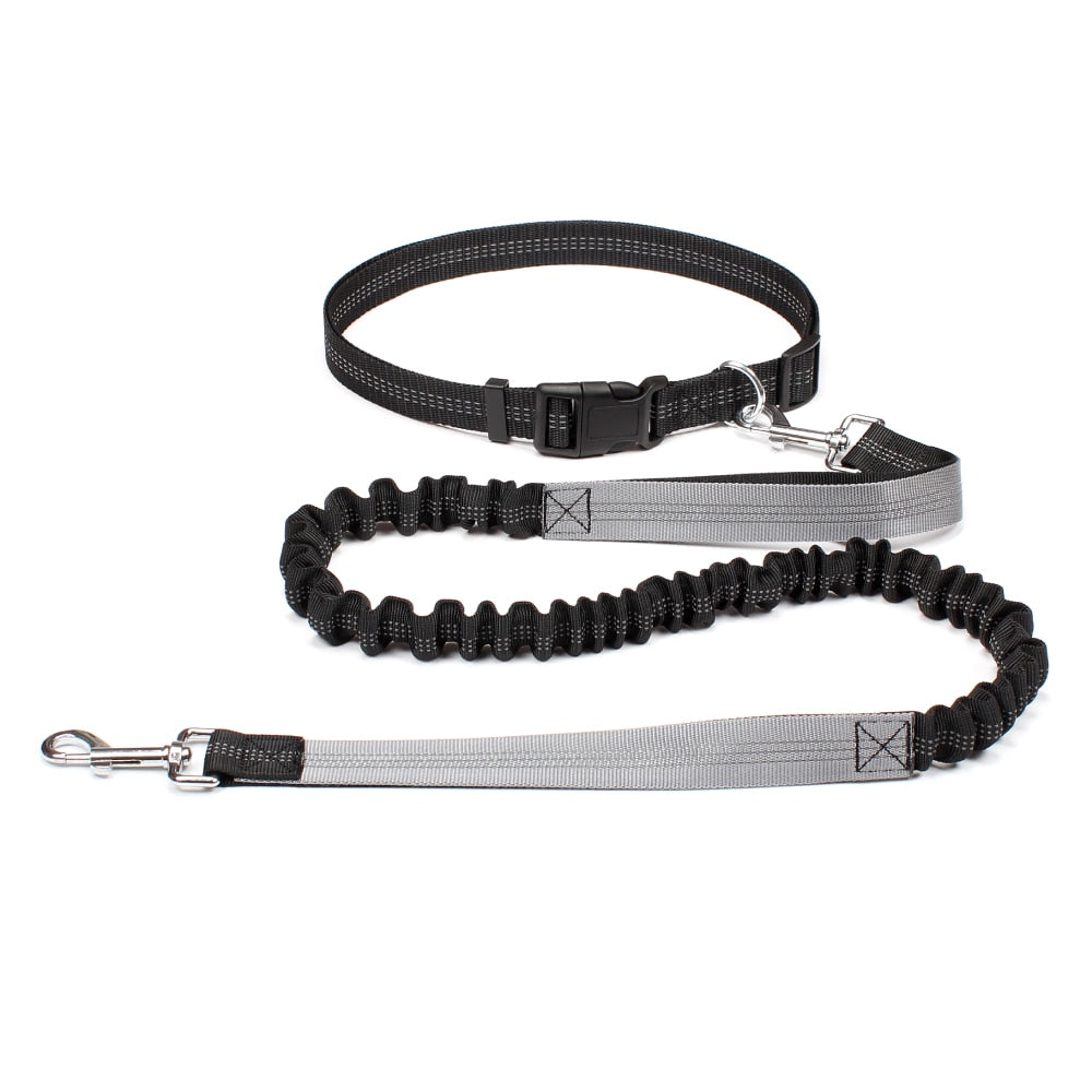 Dual Handle Bungee Leash