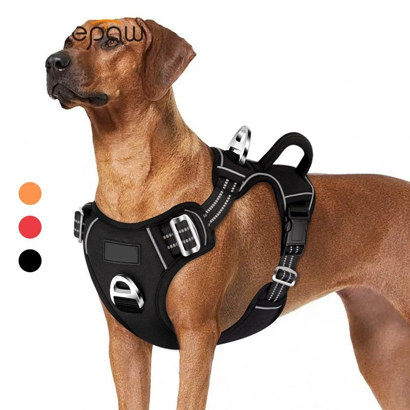 No Pull Dog Harness