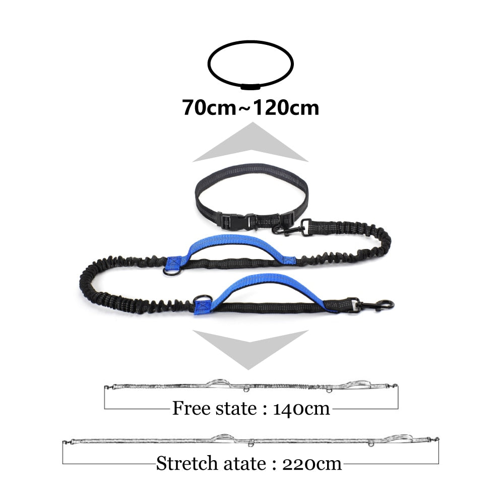 Dual Handle Bungee Leash
