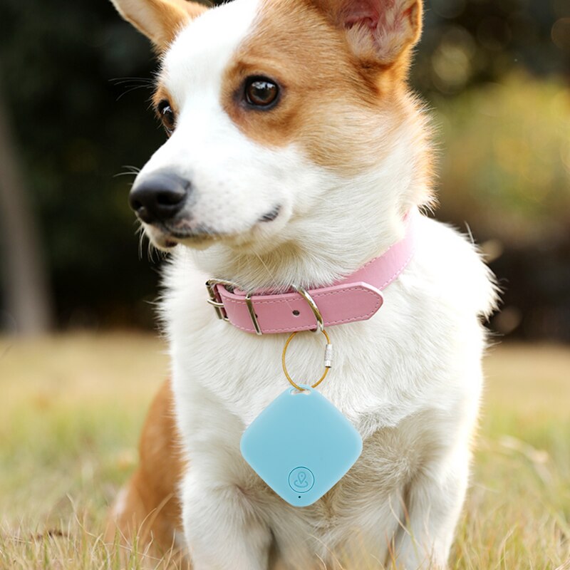 Mini GPS Tracker for Pets