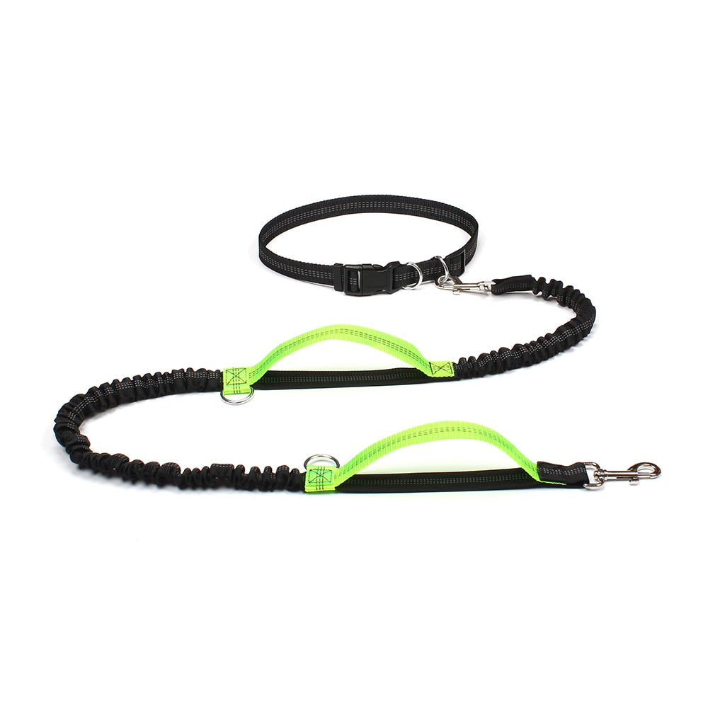 Dual Handle Bungee Leash