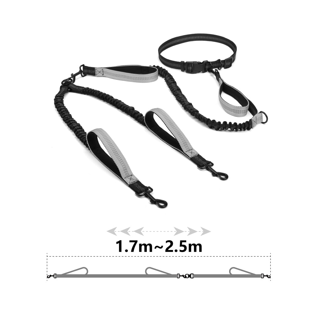 Dual Handle Bungee Leash