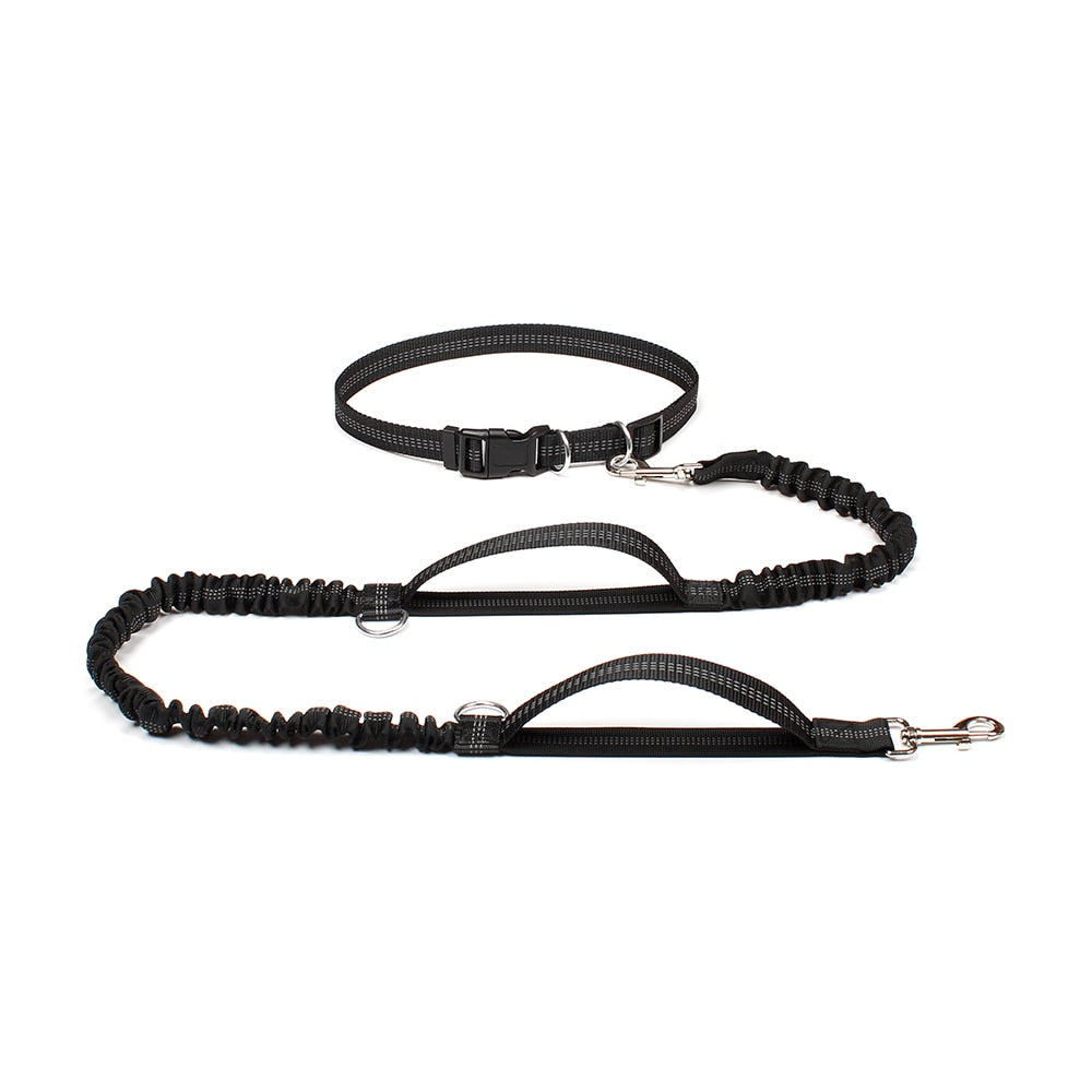 Dual Handle Bungee Leash