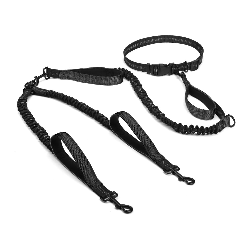 Dual Handle Bungee Leash